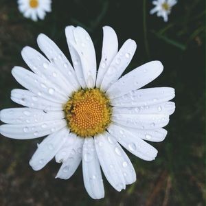 Meet your Posher, Kellie