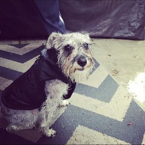 Meet your Posher, Olivia