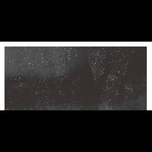 Meet your Posher, Priscilla