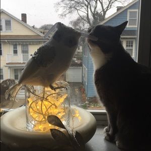 Meet your Posher, Chimmanat