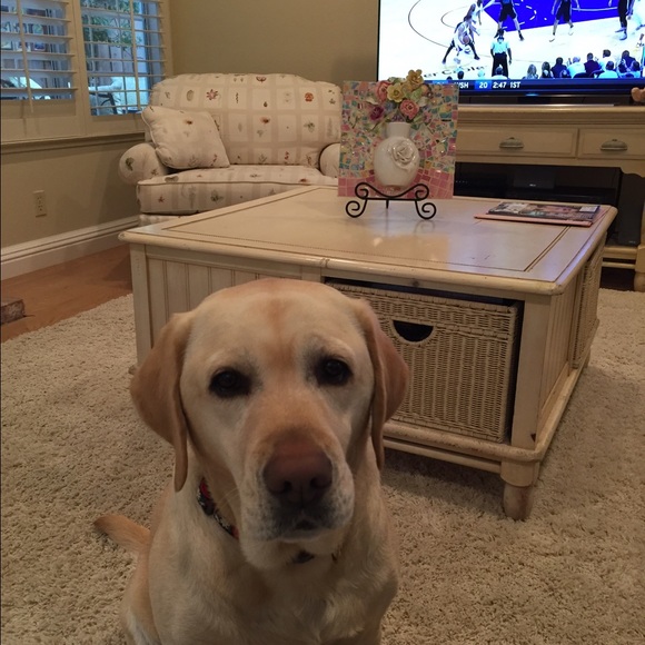 Meet your Posher, Cherie