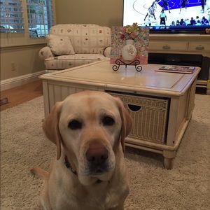 Meet your Posher, Cherie