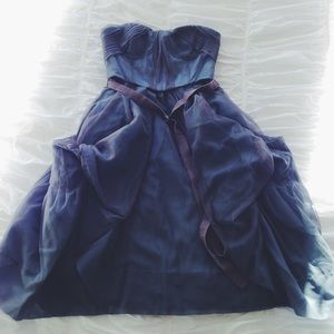 BCBG MaxAzria Runway BlueGrey tulle Corset Dress