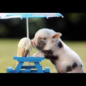 Meet your Posher, Brandye