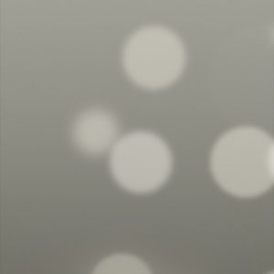 Meet your Posher, Sidney