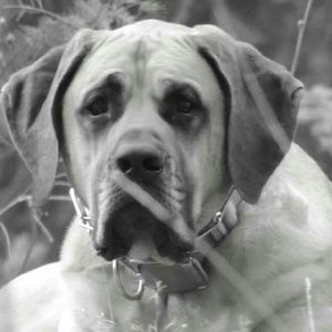 Meet your Posher, Sean