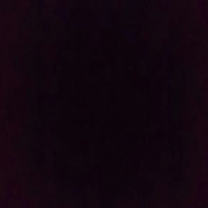 Meet your Posher, Diego