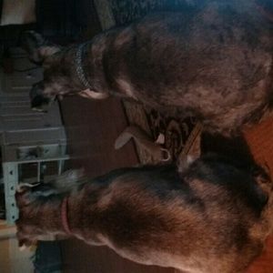 Meet your Posher, Lily