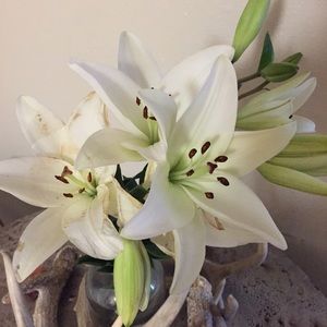 Meet your Posher, Yazmine