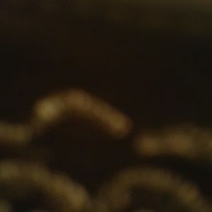 Meet your Posher, Kenia