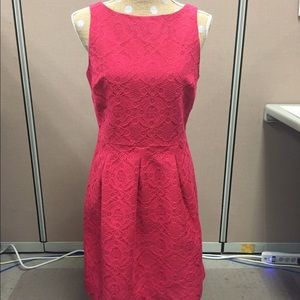 Banana Republic Magenta Dress
