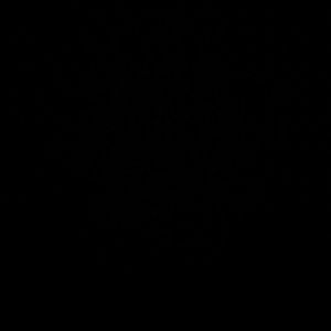 Meet your Posher, Micheal