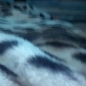 Meet your Posher, Miguel