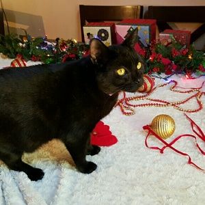 Meet your Posher, Pamela