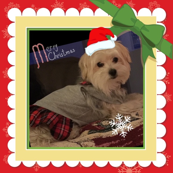 Happy Holidays to all !🎄🎄