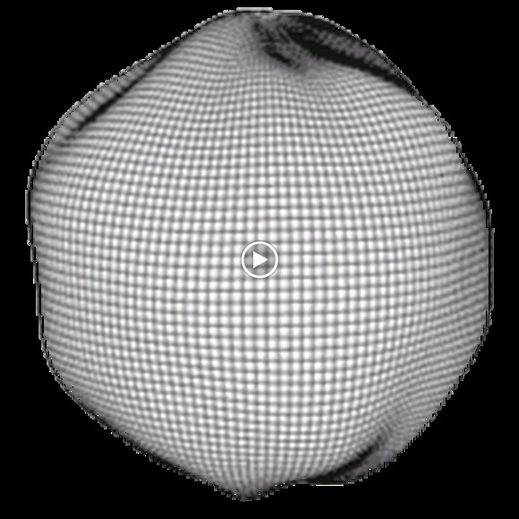 Meet your Posher, Alin