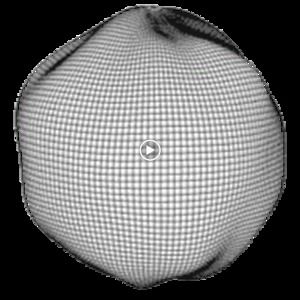 Meet your Posher, Alin