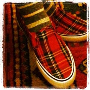 Meet your Posher, Lucinda