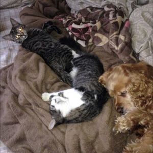 Meet your Posher, Elizabeth