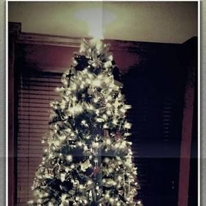 Meet your Posher, Alison