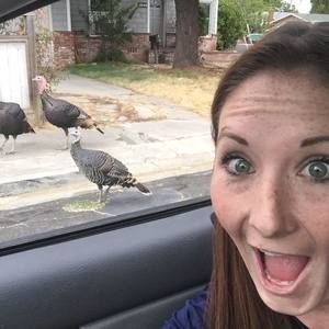 Meet your Posher, Crystal