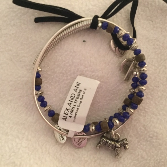 NWT Alex & Ani Dog Set of 2 Expandable Bracelets