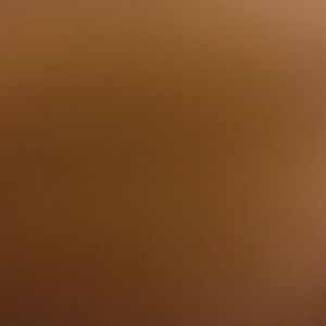 Meet your Posher, Carrolyn