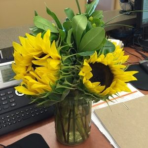 Meet your Posher, Elsa