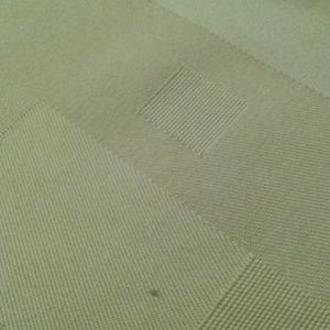 Meet your Posher, Jasey