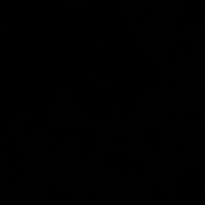 Meet your Posher, Gerald