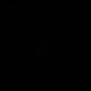 Meet your Posher, Tay