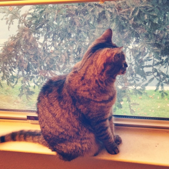 Meet your Posher, Kelly! - Picture 4 of 4