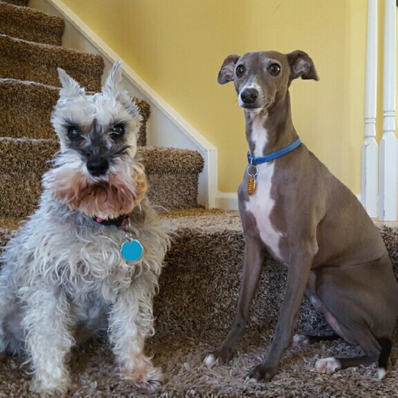 MEET ME :) - Picture 3 of 3