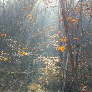 Meet your Posher, Farrah