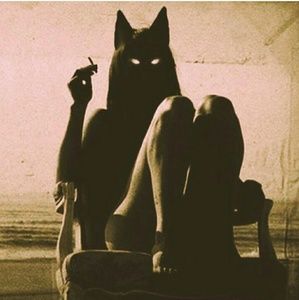 Meet your Posher, Tara