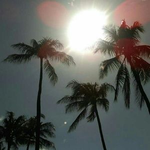 Meet your Posher, Angel