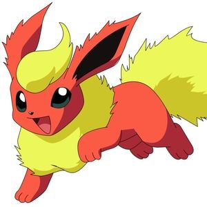 Meet your Posher, Vickie rose