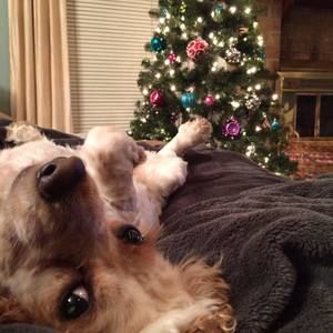 Meet your Posher, Robin