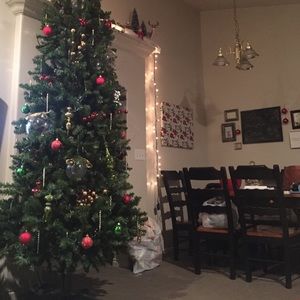 Meet your Posher, Austin