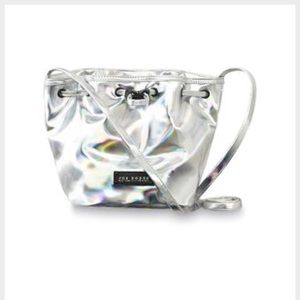 Silver Metallic Purse