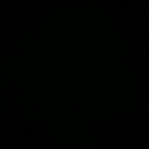 Meet your Posher, Landon