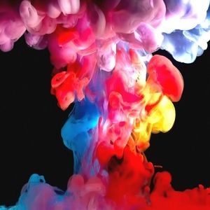 Meet your Posher, Braden