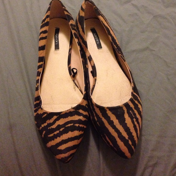 Zebra Print Pointed Toe Flats - Picture 1 of 4