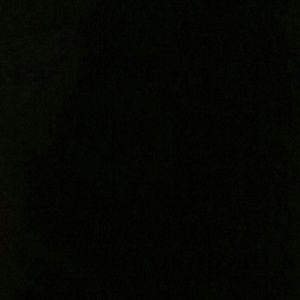 Meet your Posher, Danee'