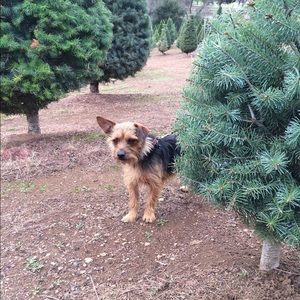 Meet your Posher, Vanessa