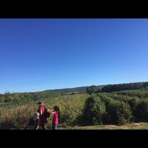 Meet your Posher, Gio