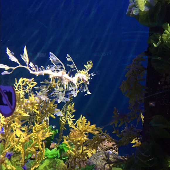 Meet your Posher, Sharmika