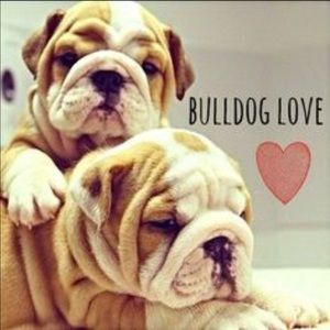 Meet your Posher, Dorian