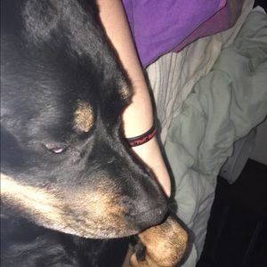 Meet your Posher, Ashley