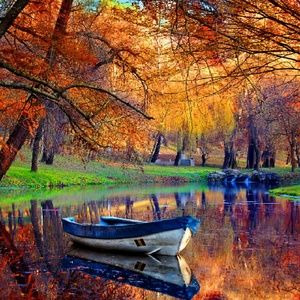 Meet your Posher, Sam